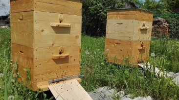 Jak si vyrobit vlastní včelí úl?